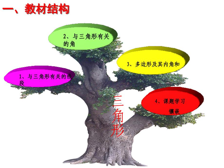 七年级数学三角形知识树张银凤_第3页