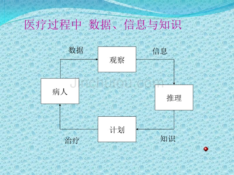 医学数据、信息和知识_第4页