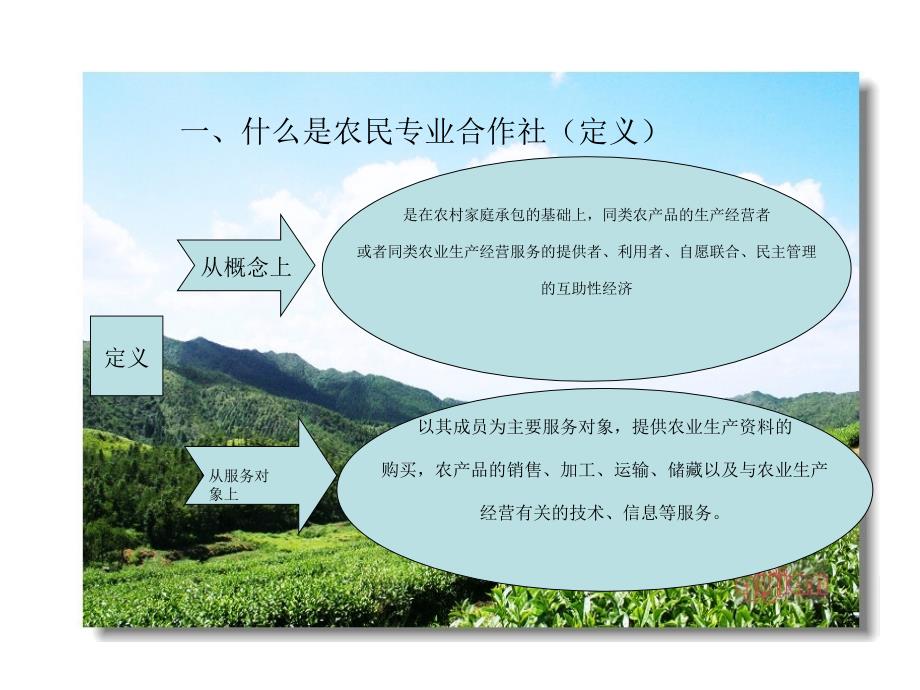 农民专业合作社几点问题解读及成立步骤_第2页