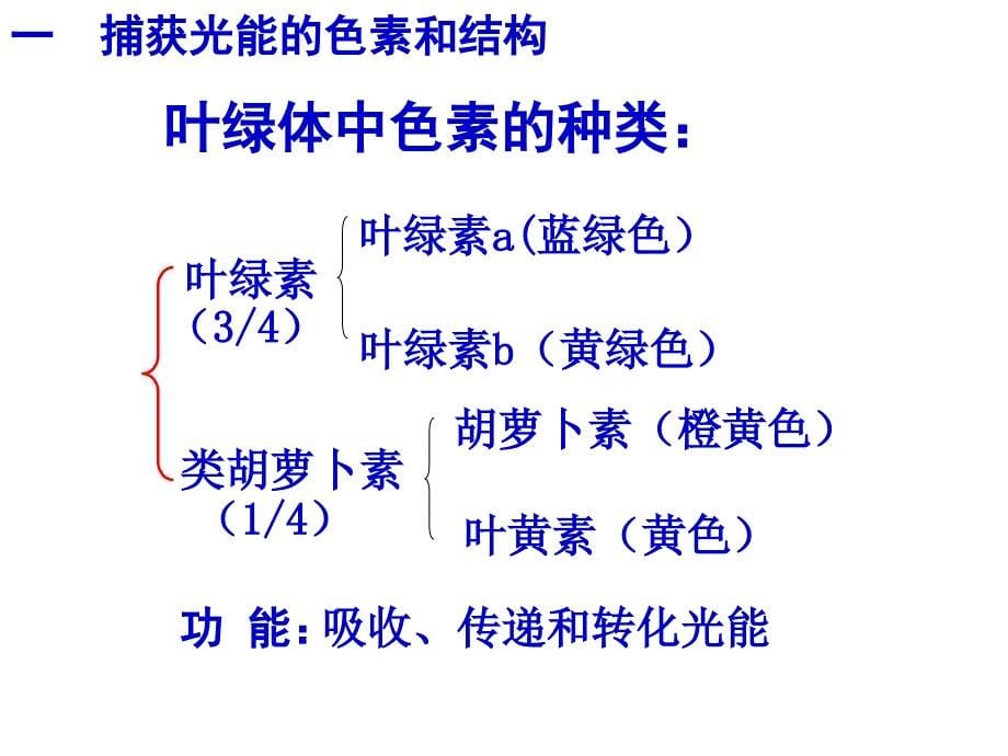 光合作用以及对它的认识过程_第5页