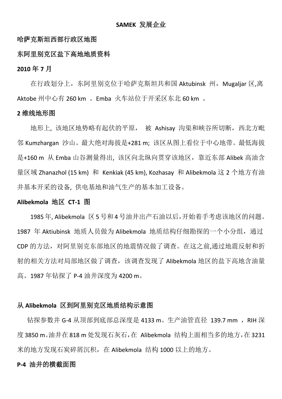 东阿里别克区盐下高地地质资料_第1页