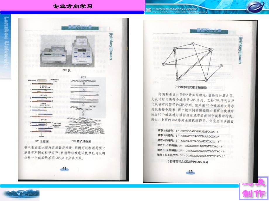 学习和科研情况汇报_第4页