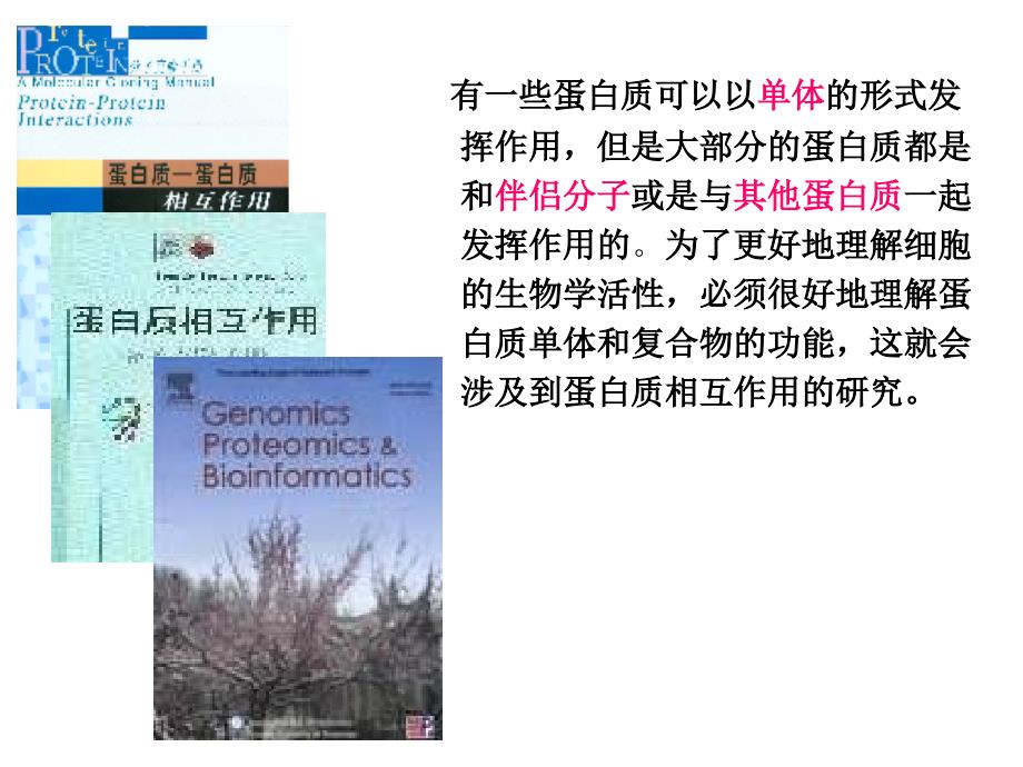 蛋白相互作用研究技术分子生物学_第4页