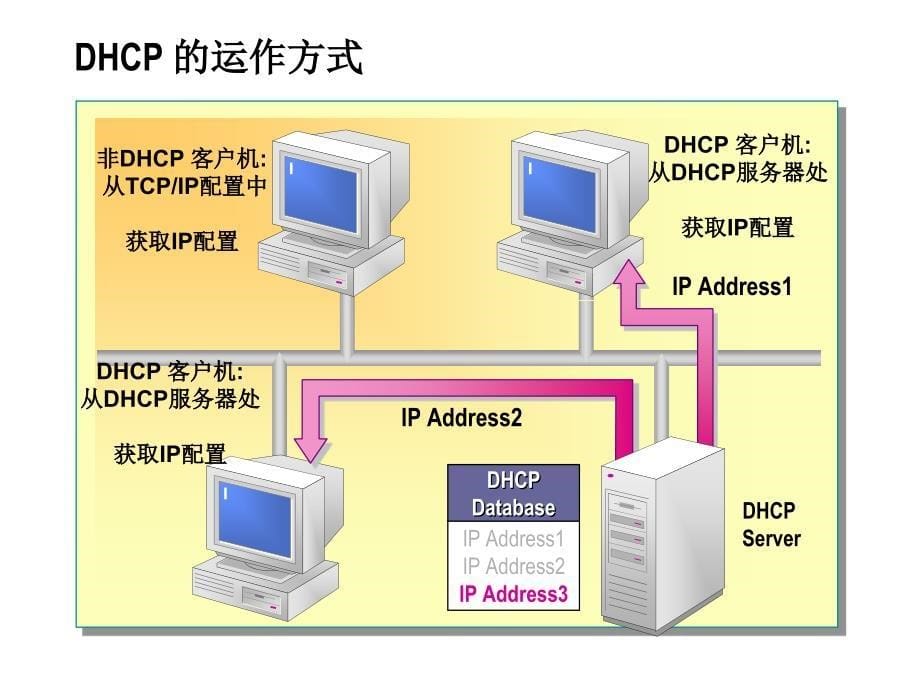 03-dhcp服务器的设置_第5页