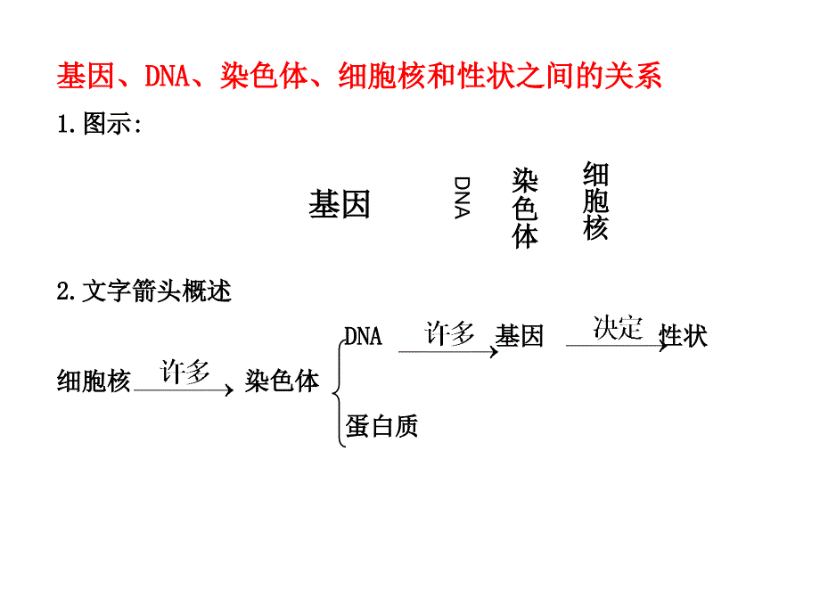 八年级生物遗传与变异复习课件_第3页