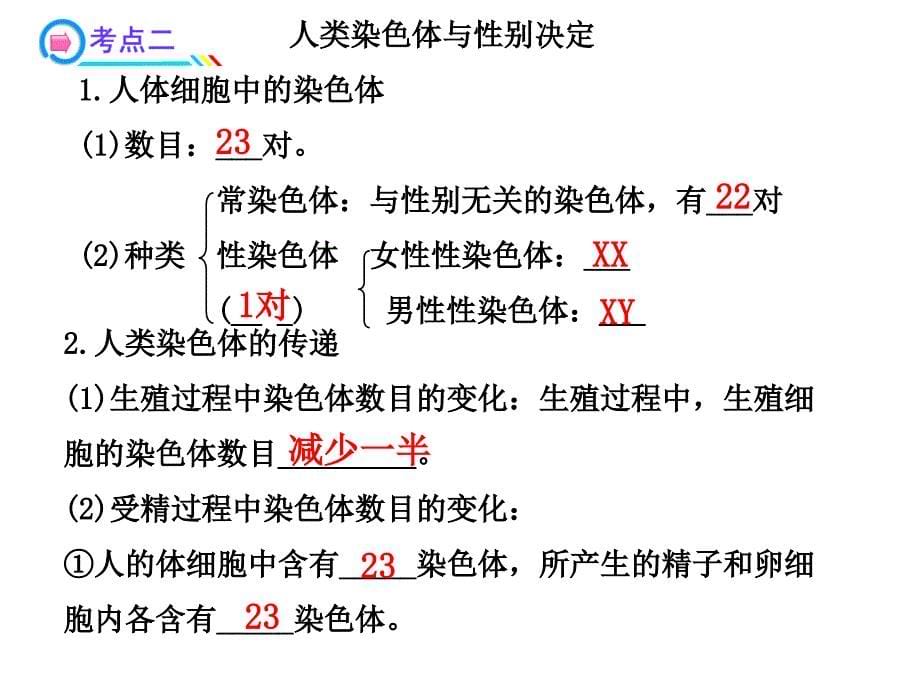 八年级生物遗传与变异复习课件_第5页