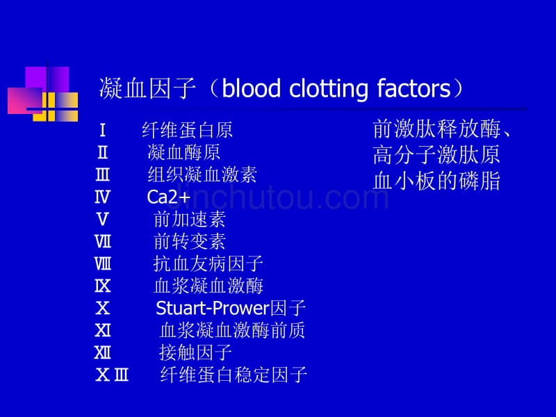 作用于血液与造血器官的药物_第4页