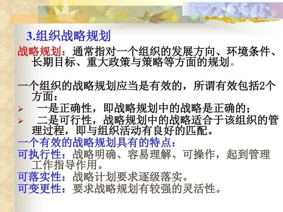 管理信息系统规划_第5页