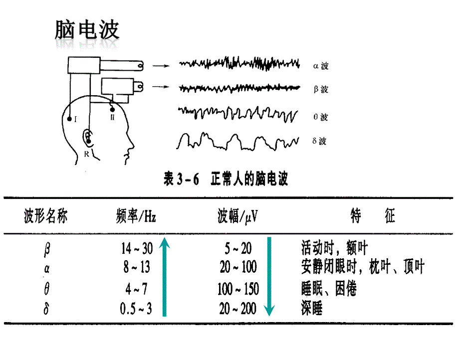 普通心理学意识与注意_第4页