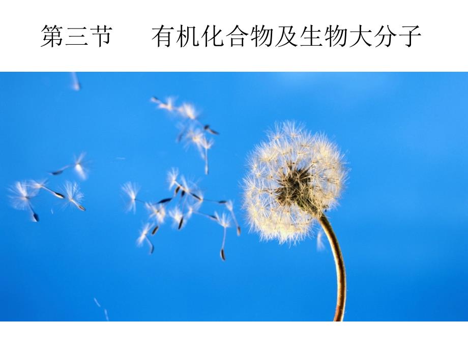 有机化合物与生物大分子_第1页