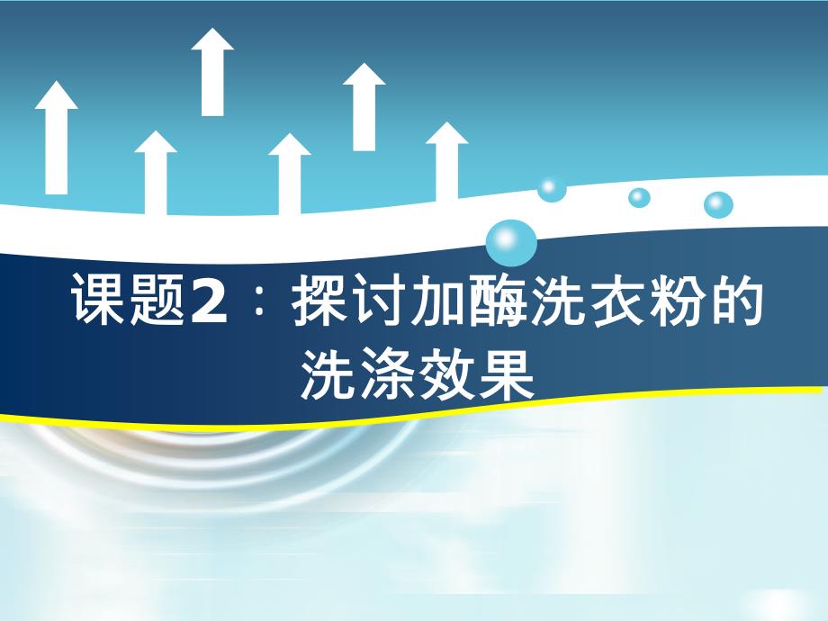 探讨加酶洗衣粉的洗涤效果_第1页