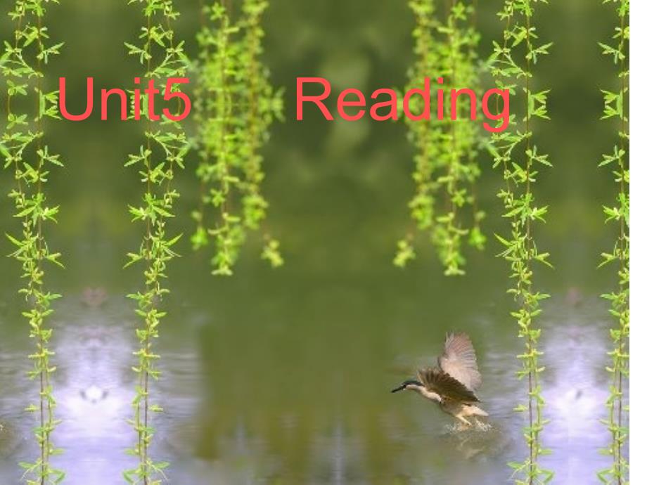 七年级英语7BUnit5Reading课件牛津版_第1页