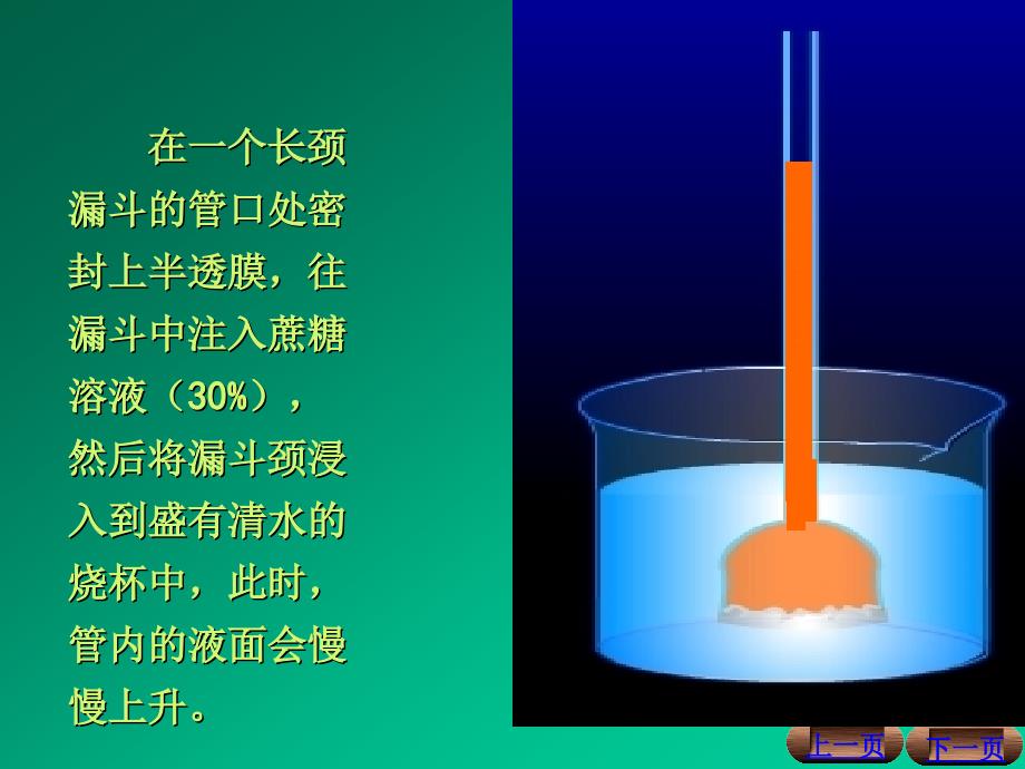 水在植物体内的重要生理作用_第4页