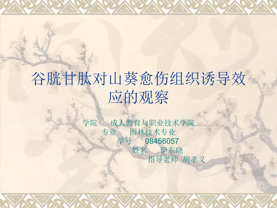 谷胱甘肽对山葵愈伤组织诱导效应的观察_第1页