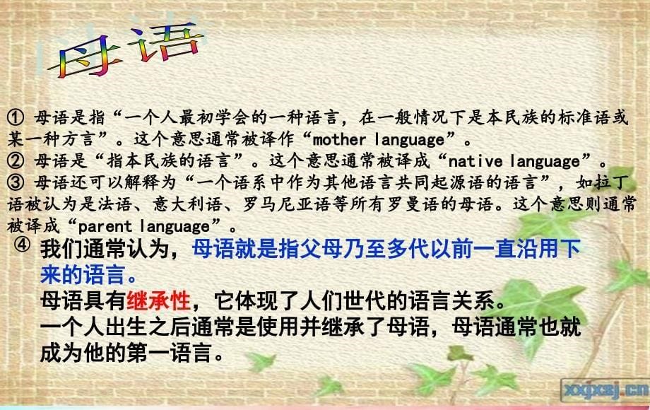 王贺对外汉语应用语言学_第5页