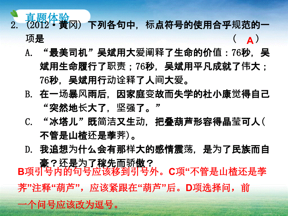 1中考专项复习——标点符号的用法_第4页