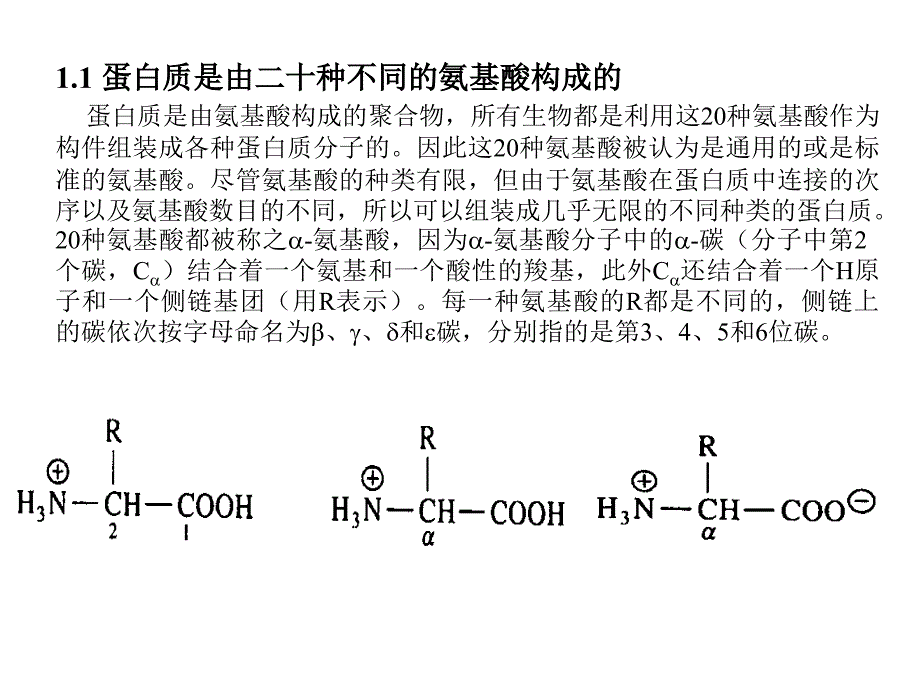 氨基酸和蛋白质一级结构_第2页