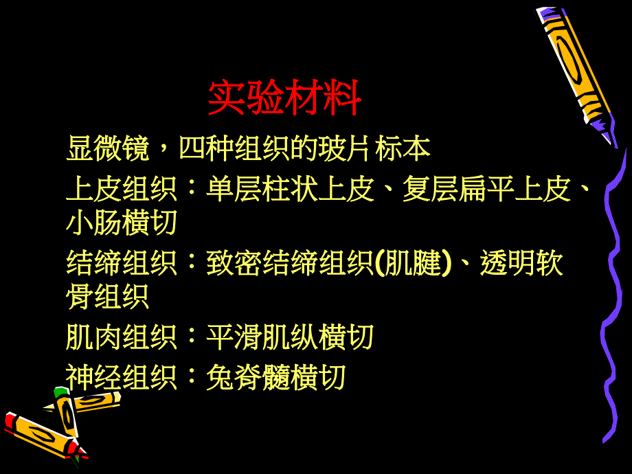 动物四大基本组织观察_第3页