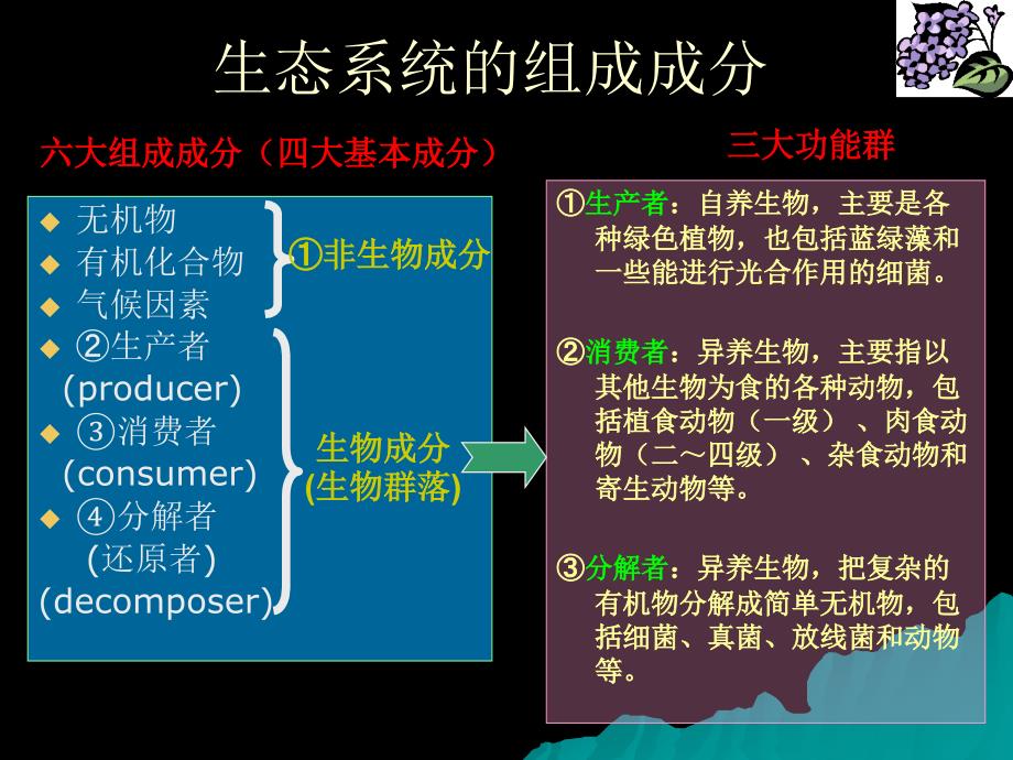 高中生物核心概念高考复习课件-生态系统_第4页