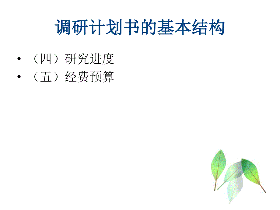 调研计划书的撰写_第4页