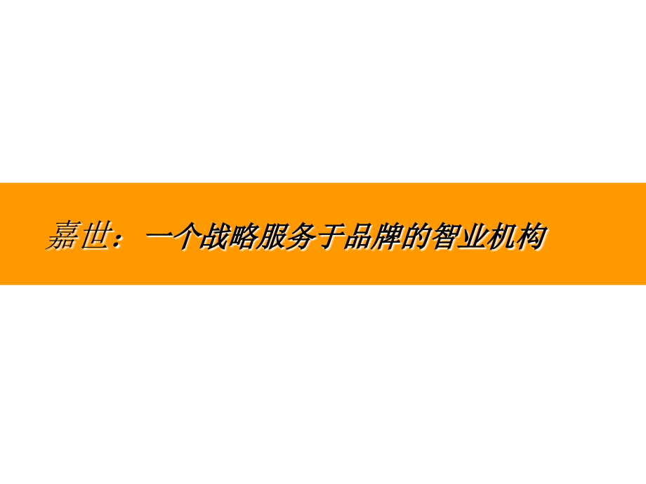 真心瓜子品牌推广营销执行策略与山东媒介执行方案_第3页