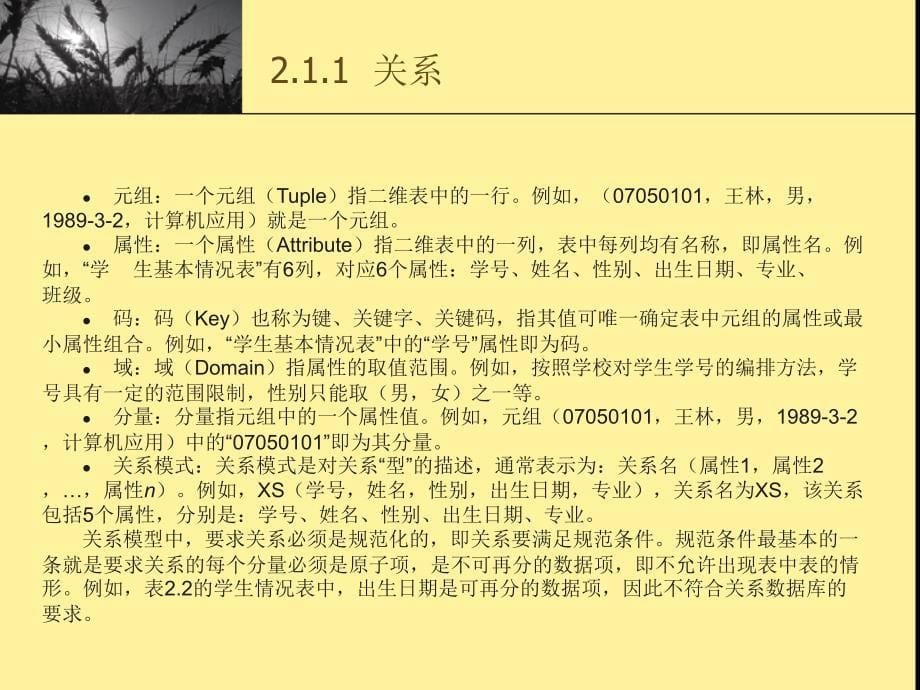 关系数据库--数据库属性等_第5页