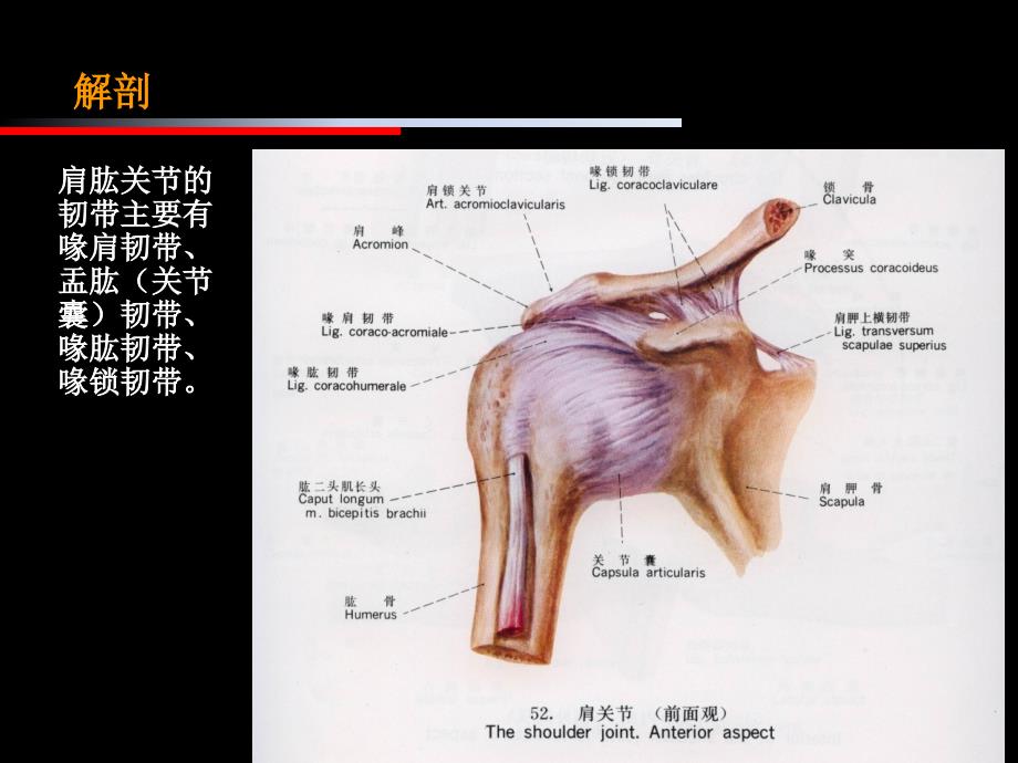 肩周炎肩关节周围炎的治疗与康复_第4页