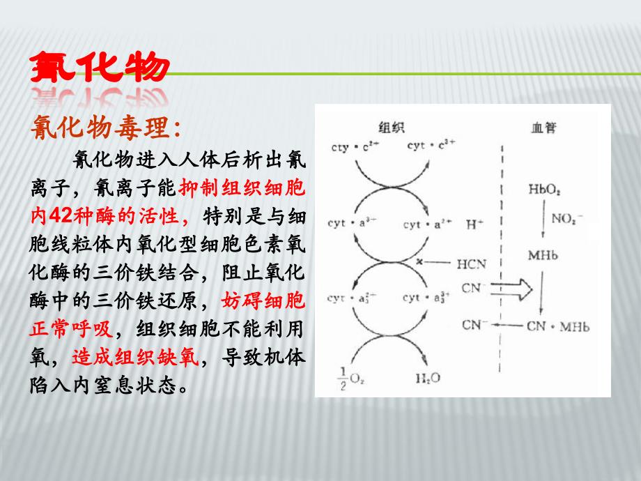 几种常见的无机有毒物质_第4页