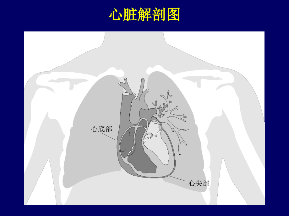 起搏器行业人员预习资料_第3页