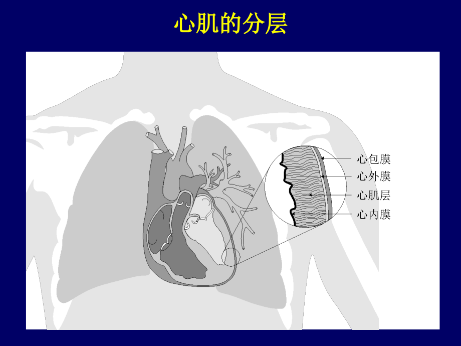 起搏器行业人员预习资料_第4页