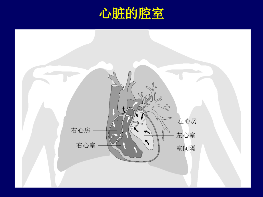 起搏器行业人员预习资料_第5页