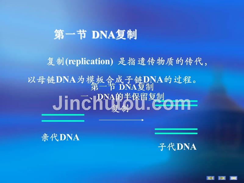 生物化学DNA的生物合成_第2页