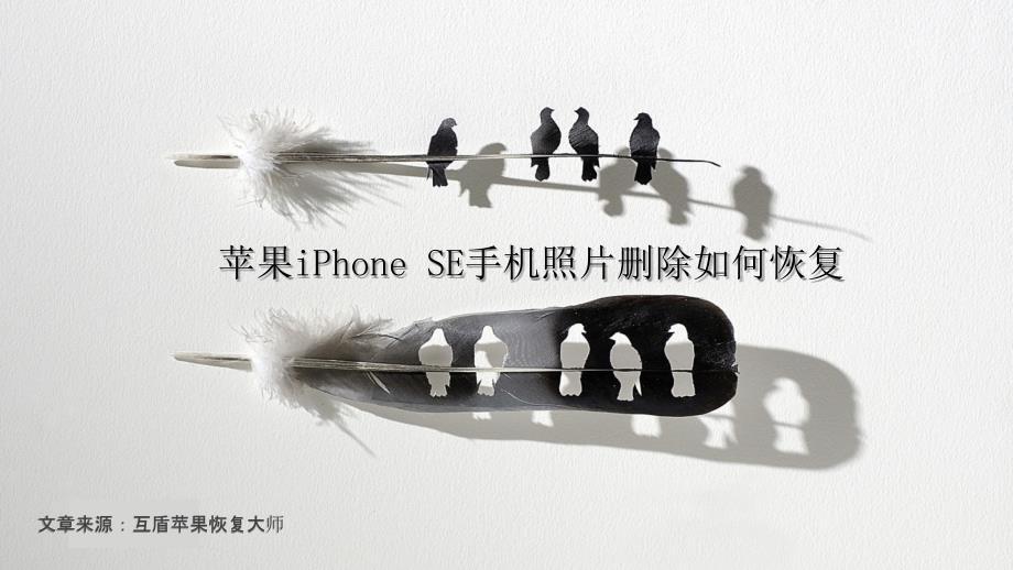 苹果iPhonSE手机照片删除如何恢复_第1页