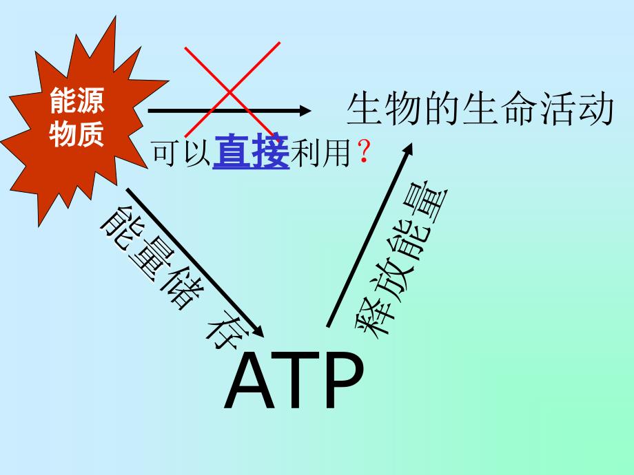 细胞的能量“通货”ATP_第4页