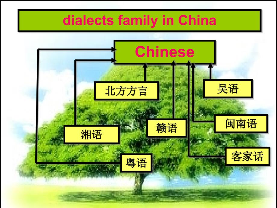 必修1unit2reading2Usinglanguage_第3页