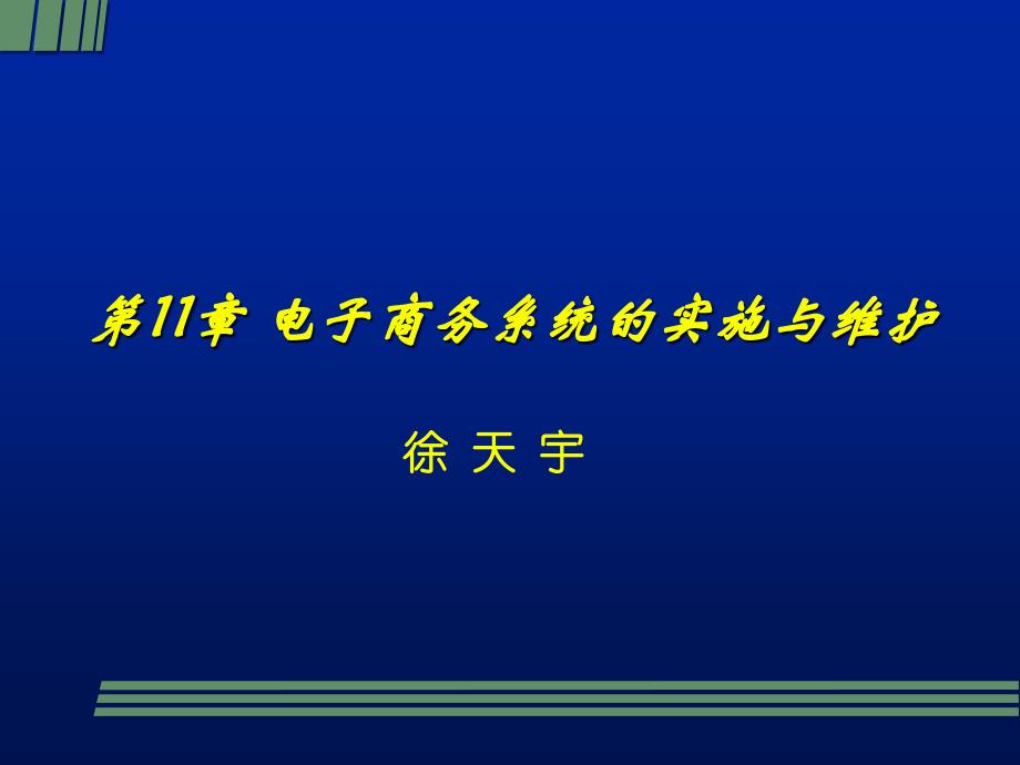 电子商务系统实施与维护_第1页