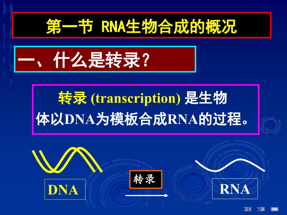 RNA的生物合成(简明教程)_第2页