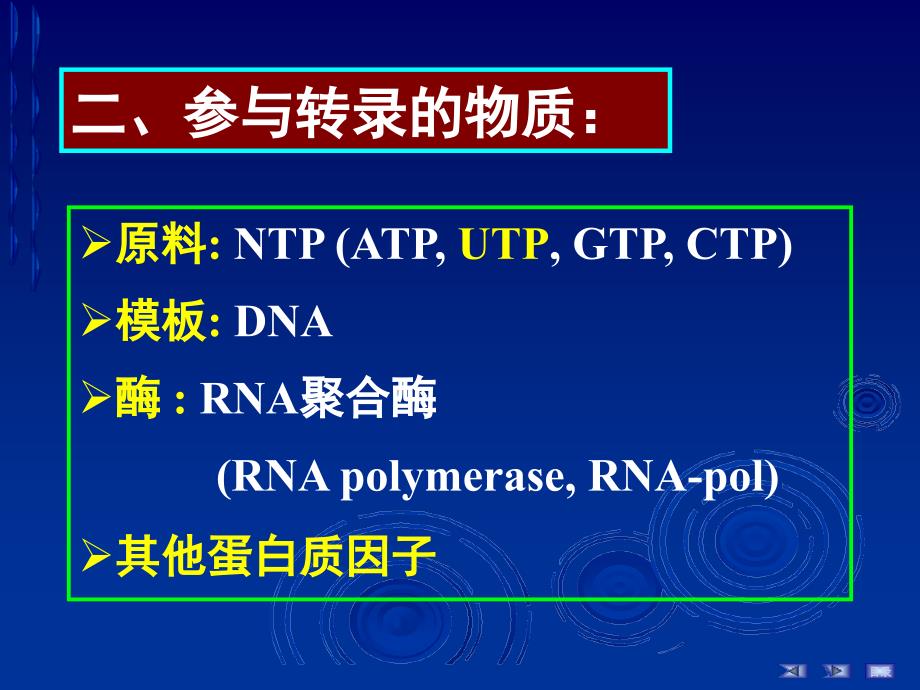 RNA的生物合成(简明教程)_第3页