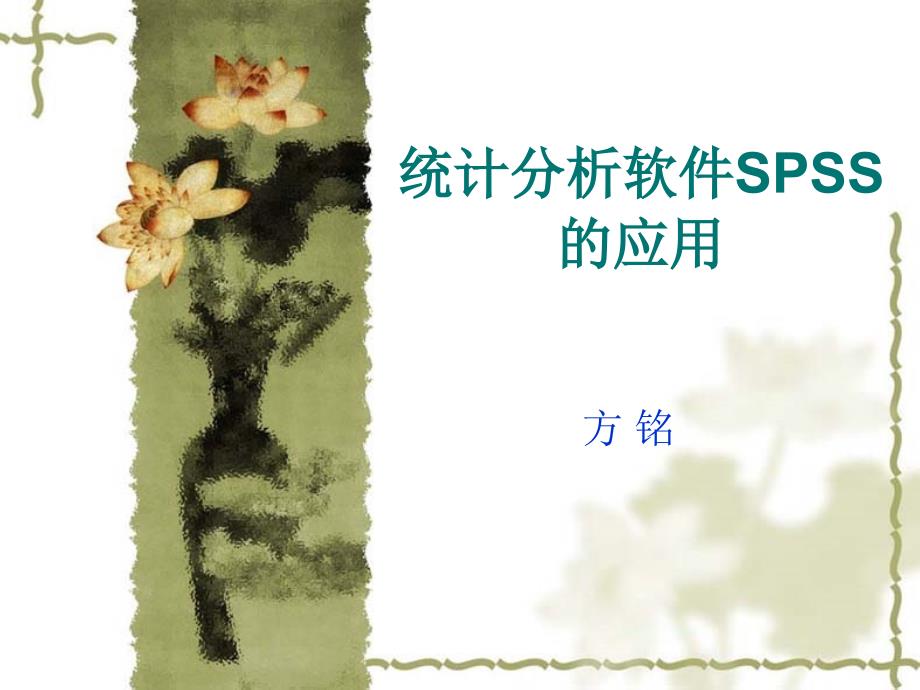 统计分析软件SPSS的应用_第1页