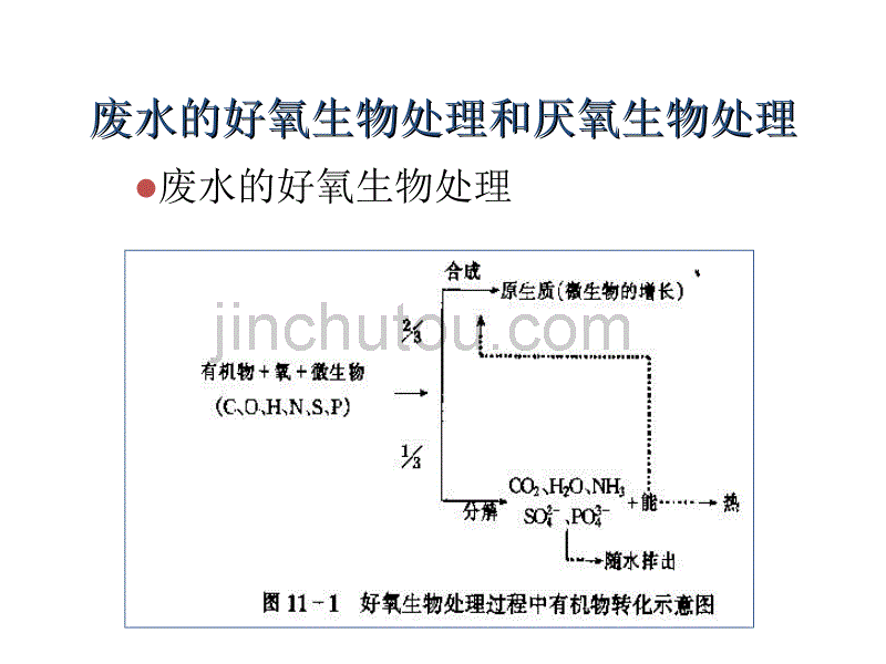 水污染控制工程经典课件第六章——废水生物处理的基本概念_第4页