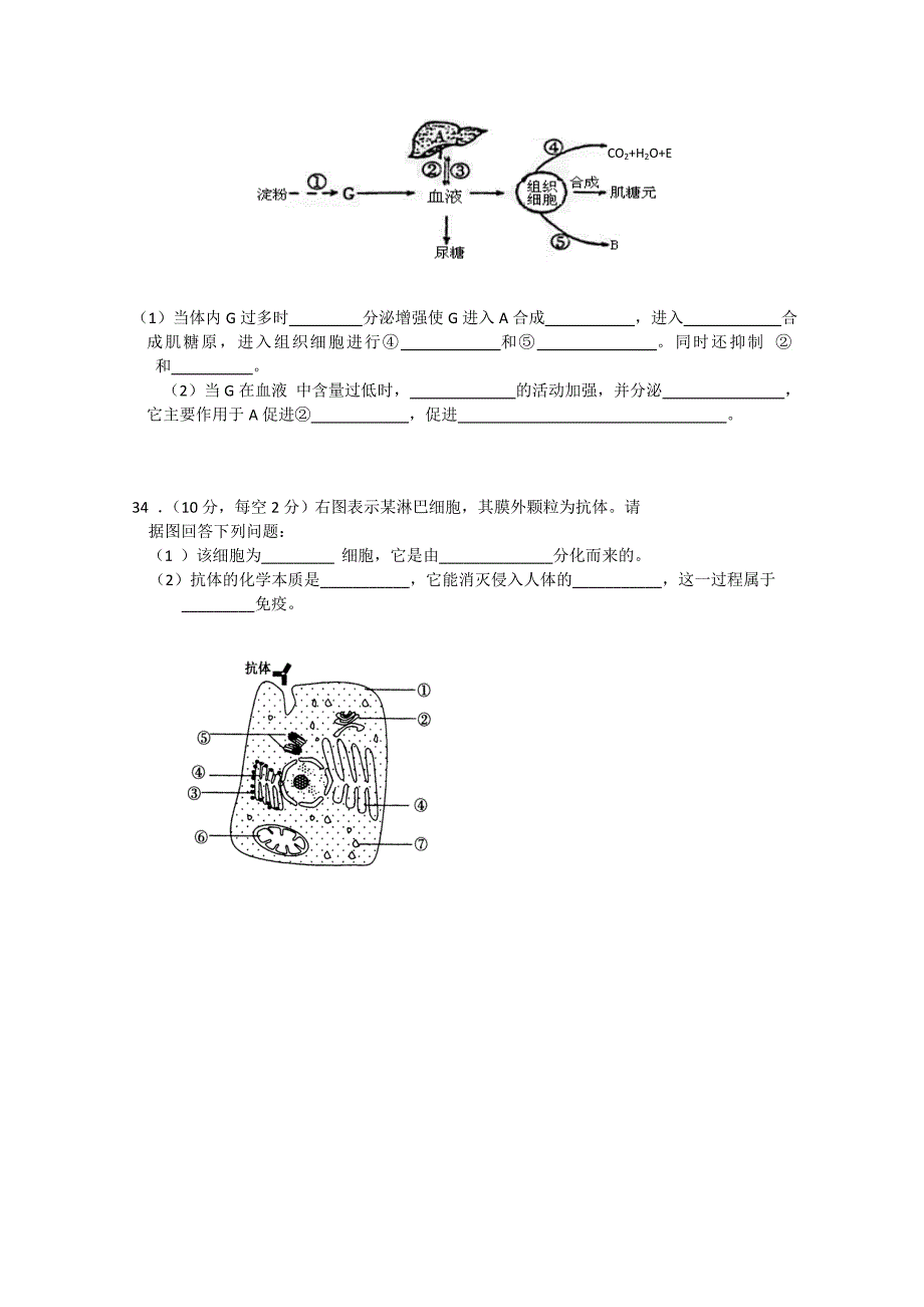 吉林省2014-2015学年高二上学期期中考试 生物 含答案_第4页