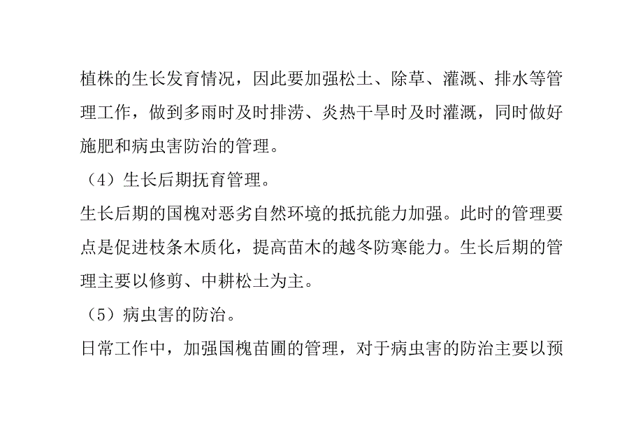 国槐苗木的抚育管理技术_第3页