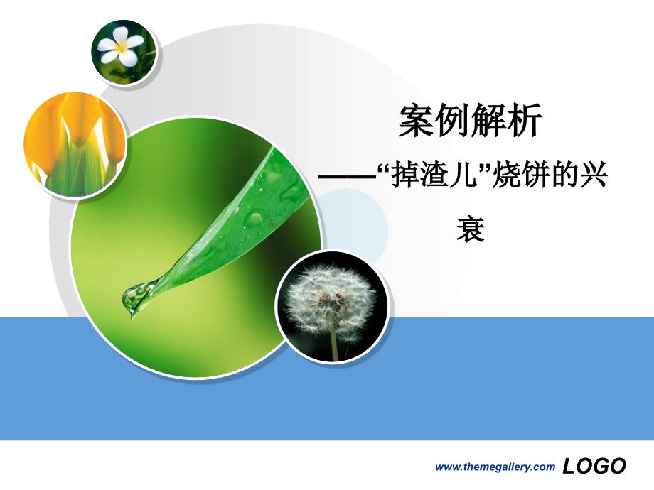 连锁案例解析——掉渣儿烧饼_第1页