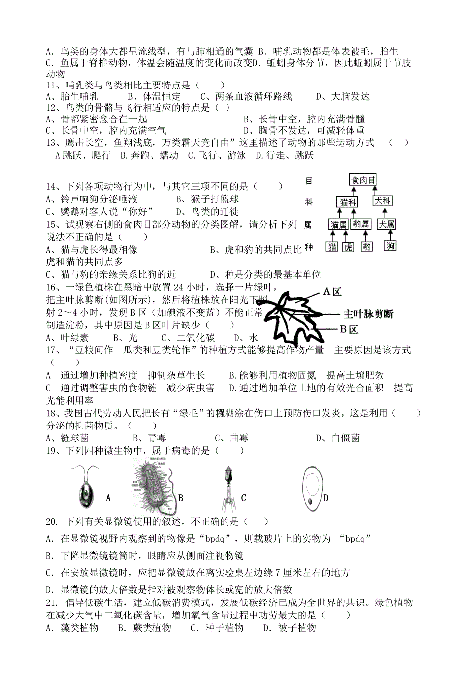 济南版七年级生物上册期末测试题_第2页