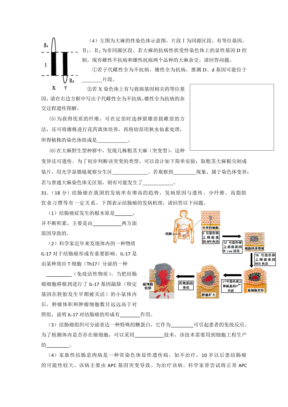 北京市通州区2015届高三模拟考试（二）理综生物试题含答案_第3页