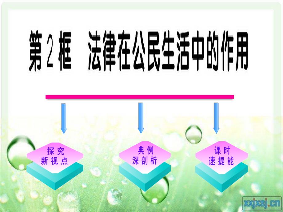 法律在公民生活中的作用 _第1页