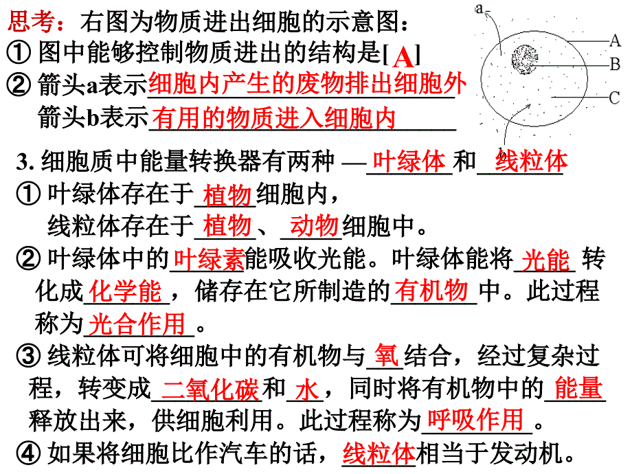 建桥1月23日初一生物《细胞的生活复习》同步课件_第3页