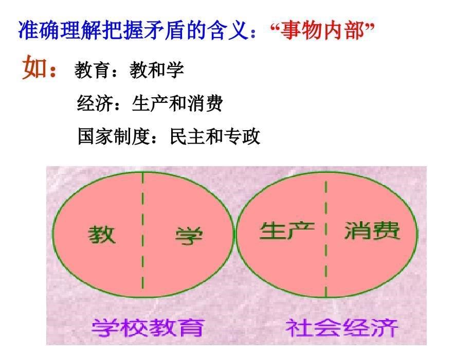 矛盾是事物发展的源泉和动力_第5页