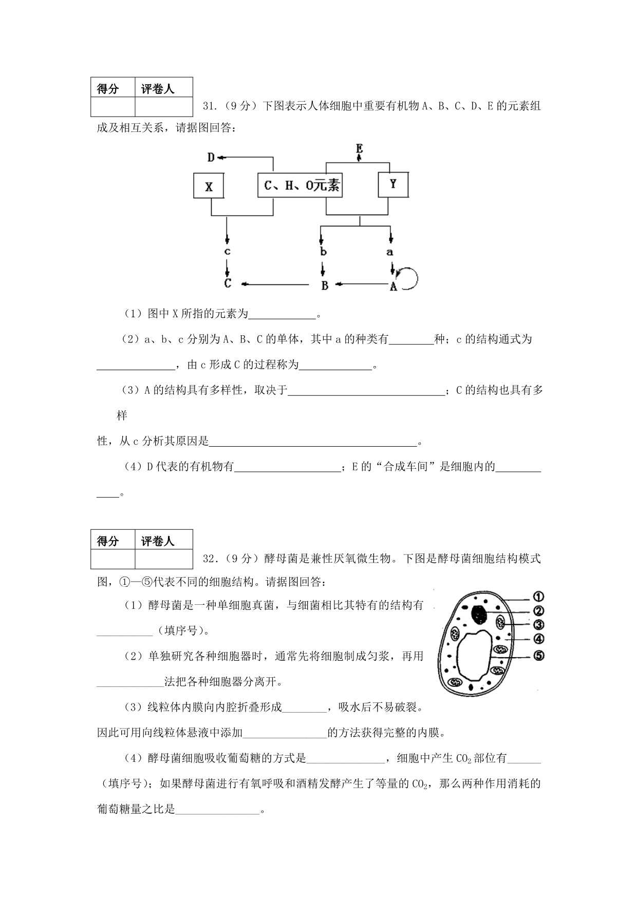 山东省2016届高三上学期开学考试生物试题含答案_第5页