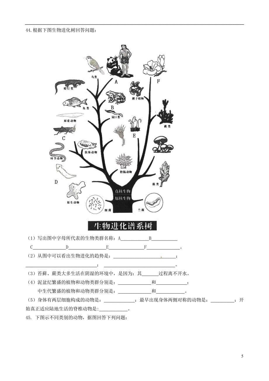 河北省围场县棋盘山中学八年级生物下学期期末试题_第5页